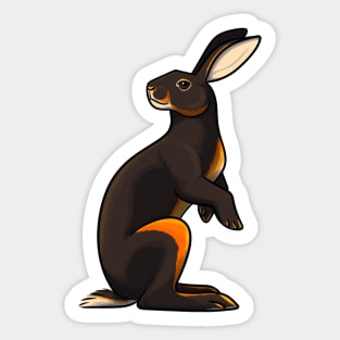 Belgian Hare Sticker